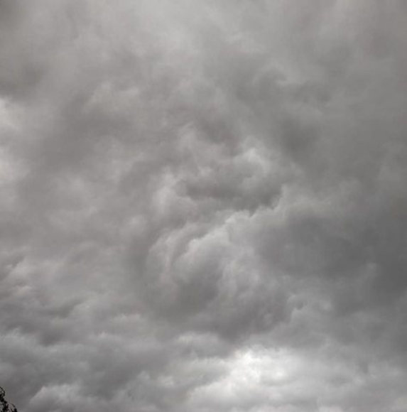 Meet your Posher, Tracey - Picture 1 of 1